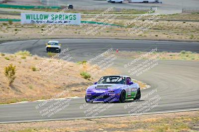 media/May-04-2025-Lucky Dog Racing (Sun) [[21629467aa]]/Turn 4 (10-1045am)/Turn 3/